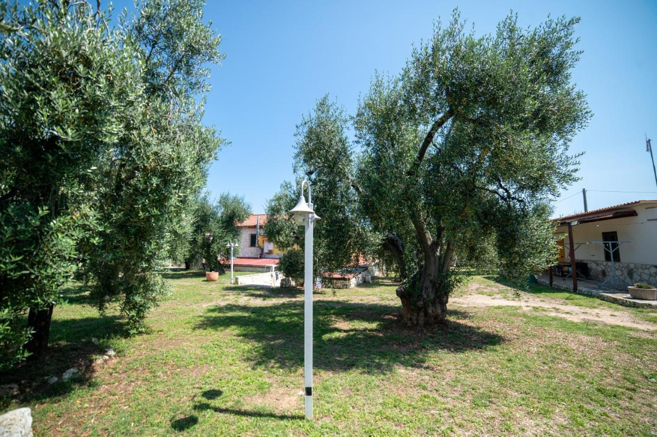 Bed and Breakfast Coppola Rossa Relax В'єсте Екстер'єр фото
