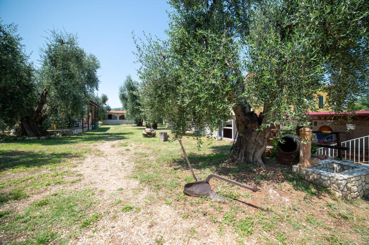 Bed and Breakfast Coppola Rossa Relax В'єсте Екстер'єр фото